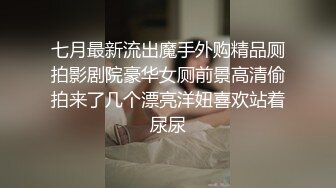 七月最新流出魔手外购精品厕拍影剧院豪华女厕前景高清偷拍来了几个漂亮洋妞喜欢站着尿尿