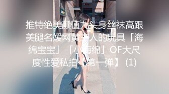 推特绝美颜值九头身丝袜高跟美腿名媛网黄主人的玩具「海绵宝宝」「小海绵」OF大尺度性爱私拍【第一弹】 (1)