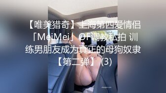 【唯美猎奇】上海第四爱情侣「MeiMei」OF调教私拍 训练男朋友成为真正的母狗奴隶【第二弹】 (3)