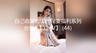 自己收集的国产淫妻福利系列合集6【324V】 (44)