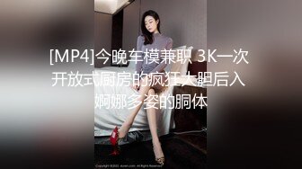 [MP4]今晚车模兼职 3K一次 开放式厨房的疯狂大胆后入 婀娜多姿的胴体