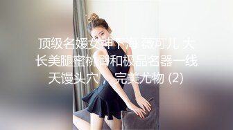 顶级名媛女神下海 薇可儿 大长美腿蜜桃臀和极品名器一线天馒头穴， 完美尤物 (2)