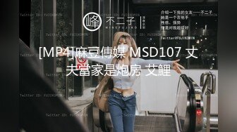 [MP4]麻豆傳媒 MSD107 丈夫當家是炮房 艾鯉