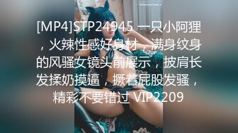 [MP4]STP24945 一只小阿狸，火辣性感好身材，满身纹身的风骚女镜头前展示，披肩长发揉奶摸逼，撅着屁股发骚，精彩不要错过 VIP2209