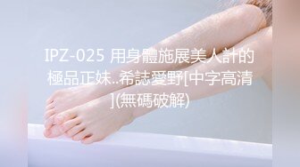 IPZ-025 用身體施展美人計的極品正妹..希誌愛野[中字高清](無碼破解)