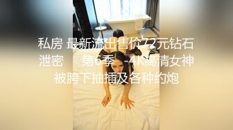 私房 最新流出售价72元钻石泄密❤️第6季❤-4K高清女神被胯下抽插及各种约炮