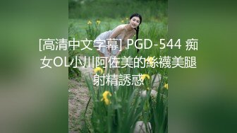 [高清中文字幕] PGD-544 痴女OL小川阿佐美的絲襪美腿射精誘惑