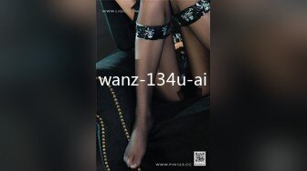 wanz-134u-ai