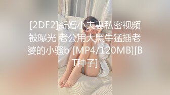 [2DF2]新婚小夫妻私密视频被曝光 老公用大黑牛猛插老婆的小骚b [MP4/120MB][BT种子]