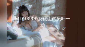 MD-0039_女优面试员叶一涵