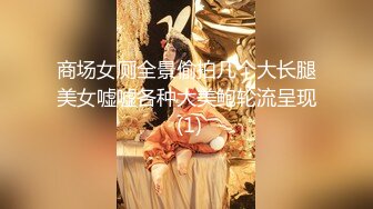 商场女厕全景偷拍几个大长腿美女嘘嘘各种大美鲍轮流呈现 (1)