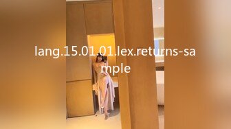 lang.15.01.01.lex.returns-sample