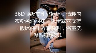 36D顶级美乳小姐姐，情趣内衣粉色渔网袜，跳蛋塞穴揉搓，假屌抽插娇喘浪叫，浴室洗澡湿身诱惑1